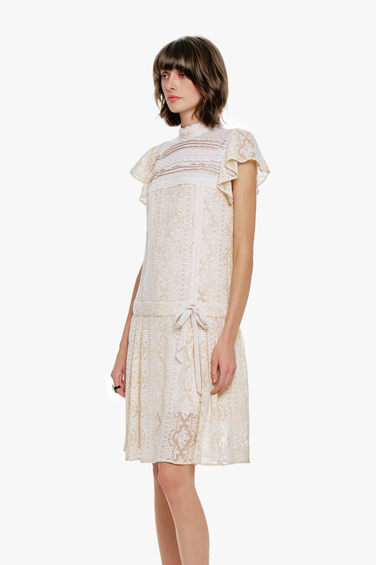 Victorian Lace Combo Drop Waist Dress | Anna Sui