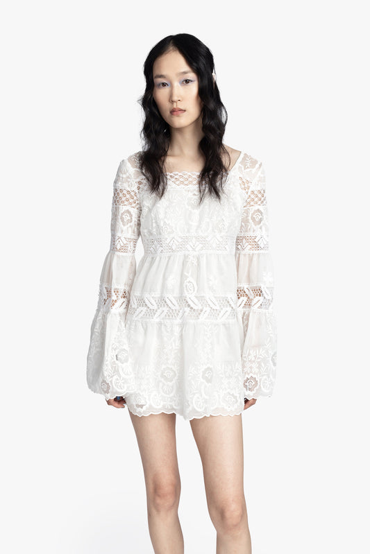 Cottage Rose Lace Mini Dress | Anna Sui