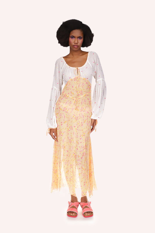 Floral Swiss Dot & Arcadia Blossom Princess Dress | Anna Sui
