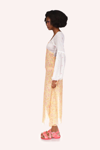 Floral Swiss Dot & Arcadia Blossom Princess Dress | Anna Sui