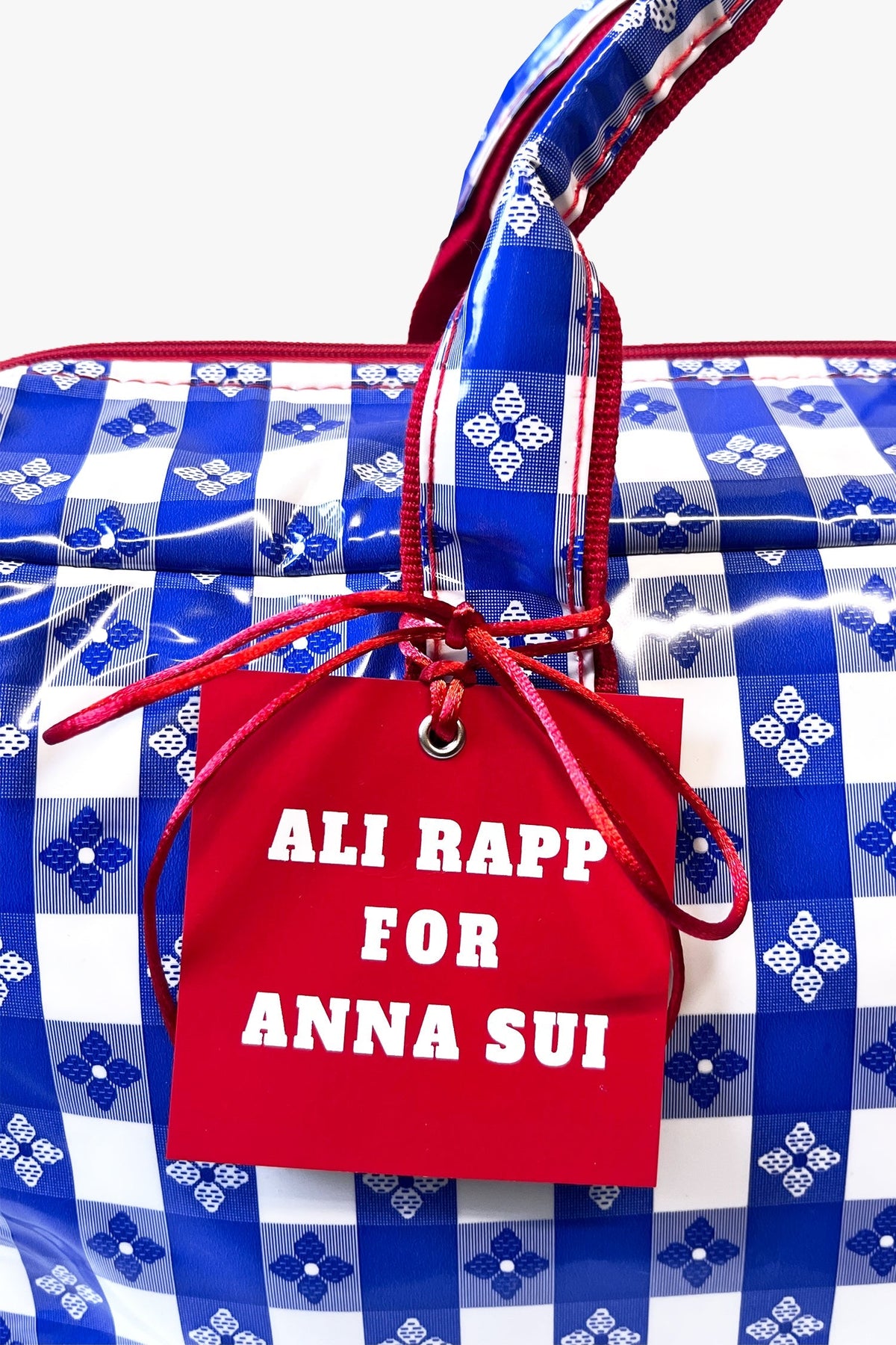 Ali Rapp for Anna Sui Large Summer Picnic Bag | Anna Sui